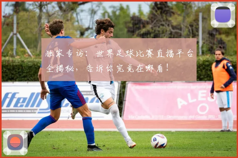 独家专访：世界足球比赛直播平台全揭秘，告诉你究竟在哪看！