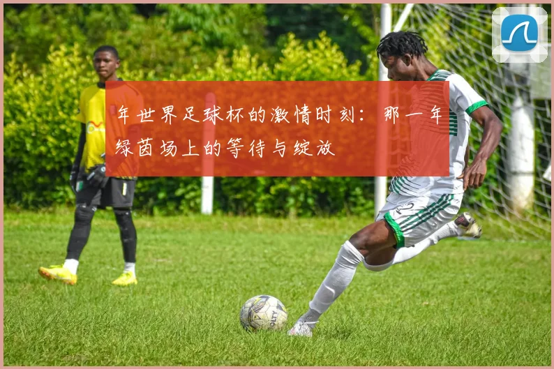 年世界足球杯的激情时刻：那一年绿茵场上的等待与绽放