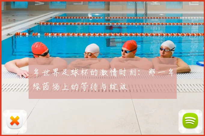年世界足球杯的激情时刻：那一年绿茵场上的等待与绽放