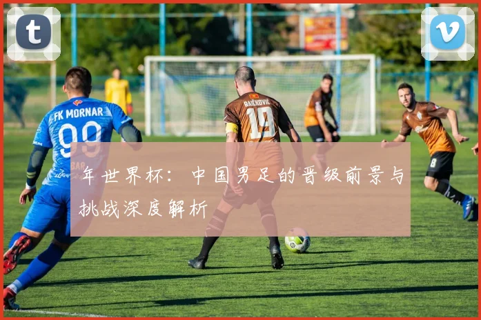 年世界杯:中国男足的晋级前景与挑战深度解析