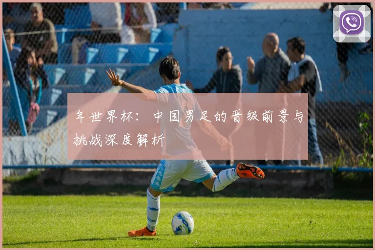 年世界杯：中国男足的晋级前景与挑战深度解析